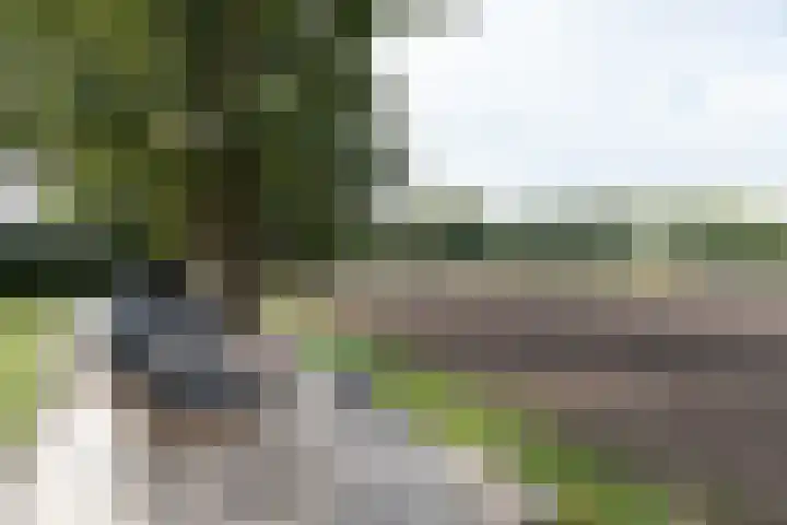Rijksweg 77 Smilde thumbnail 4