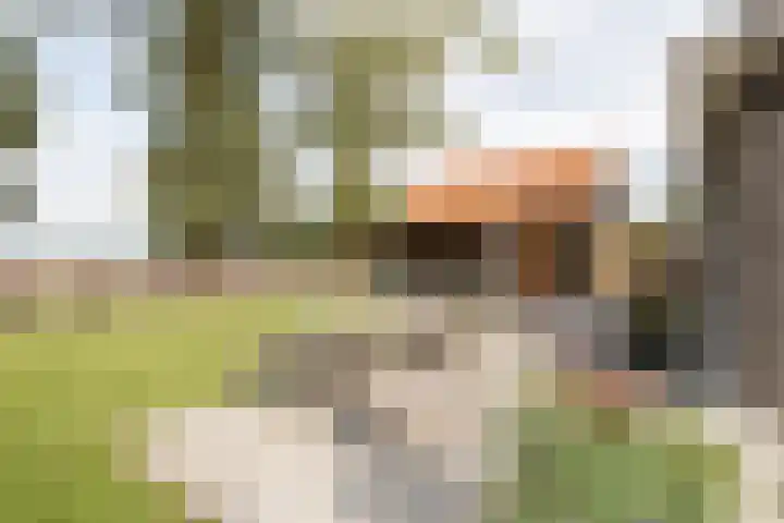 Rijksweg 77 Smilde thumbnail 43
