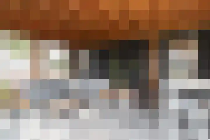 Rijksweg 77 Smilde thumbnail 45