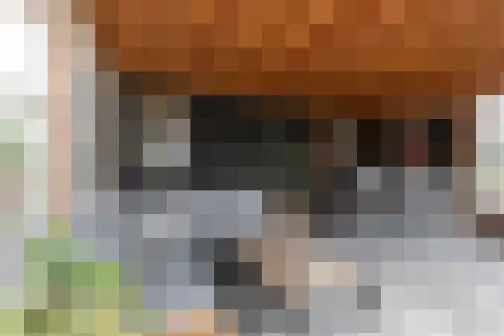 Rijksweg 77 Smilde thumbnail 46