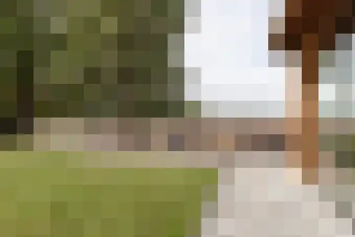 Rijksweg 77 Smilde thumbnail 48