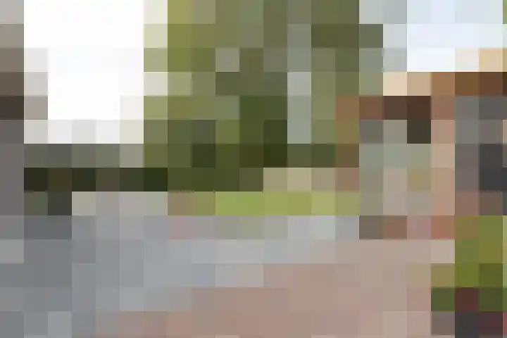 Rijksweg 77 Smilde thumbnail 50