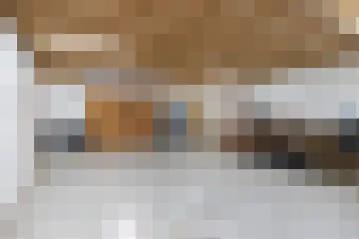Rijksweg 77 Smilde thumbnail 52