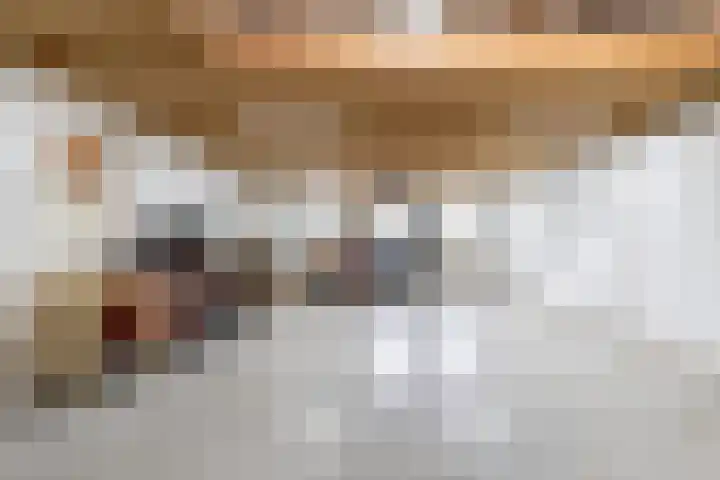 Rijksweg 77 Smilde thumbnail 53