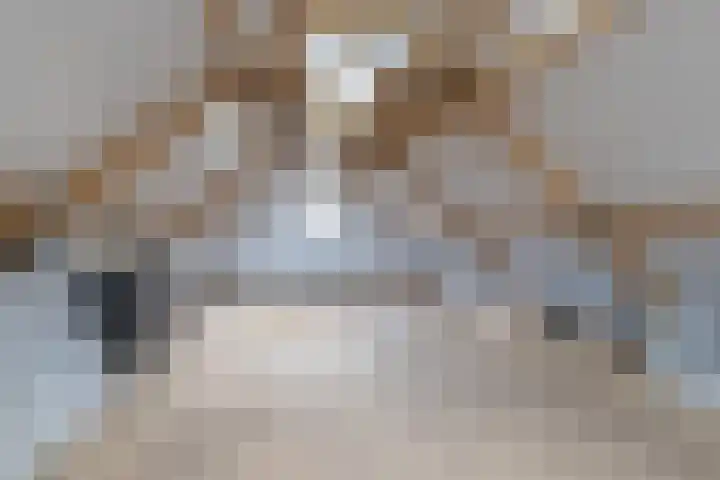 Rijksweg 77 Smilde thumbnail 54