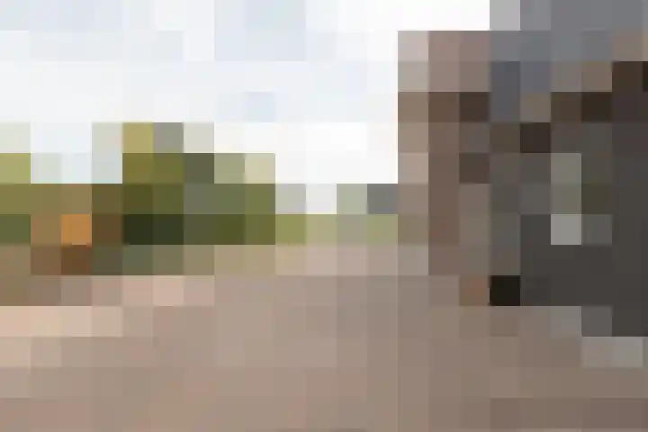 Rijksweg 77 Smilde thumbnail 56