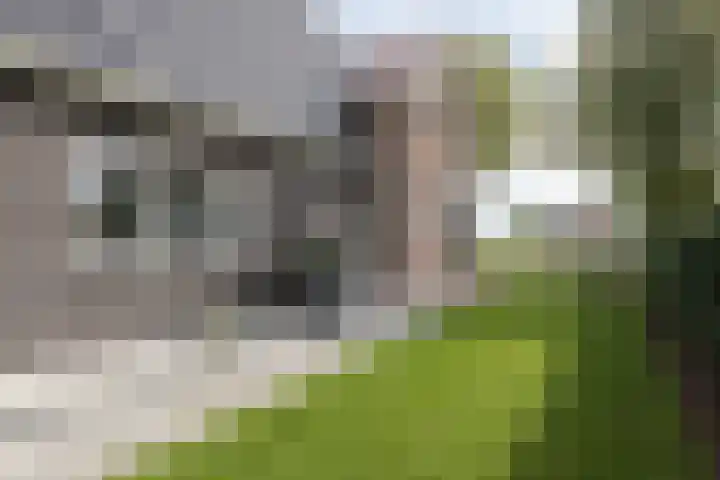 Rijksweg 77 Smilde thumbnail 57