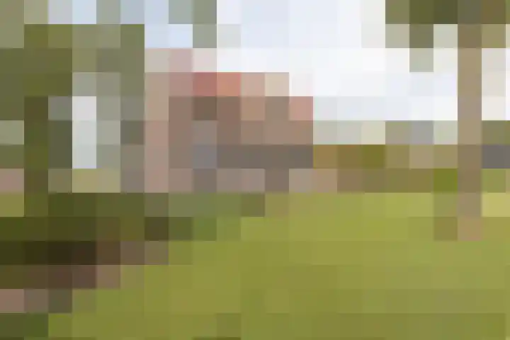 Rijksweg 77 Smilde thumbnail 58