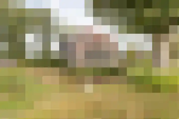 Rijksweg 77 Smilde thumbnail 59