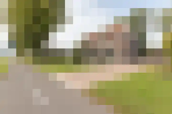 Rijksweg 77 Smilde thumbnail 62