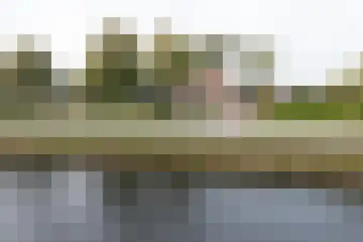 Rijksweg 77 Smilde thumbnail 64