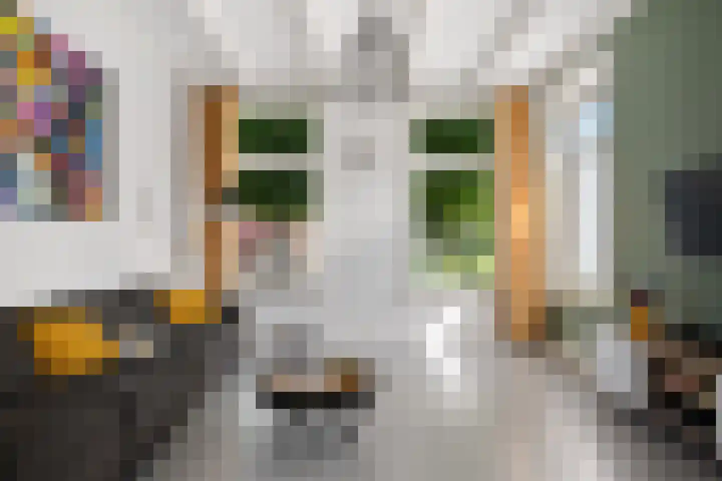 Rijksweg 78 Jirnsum thumbnail 12