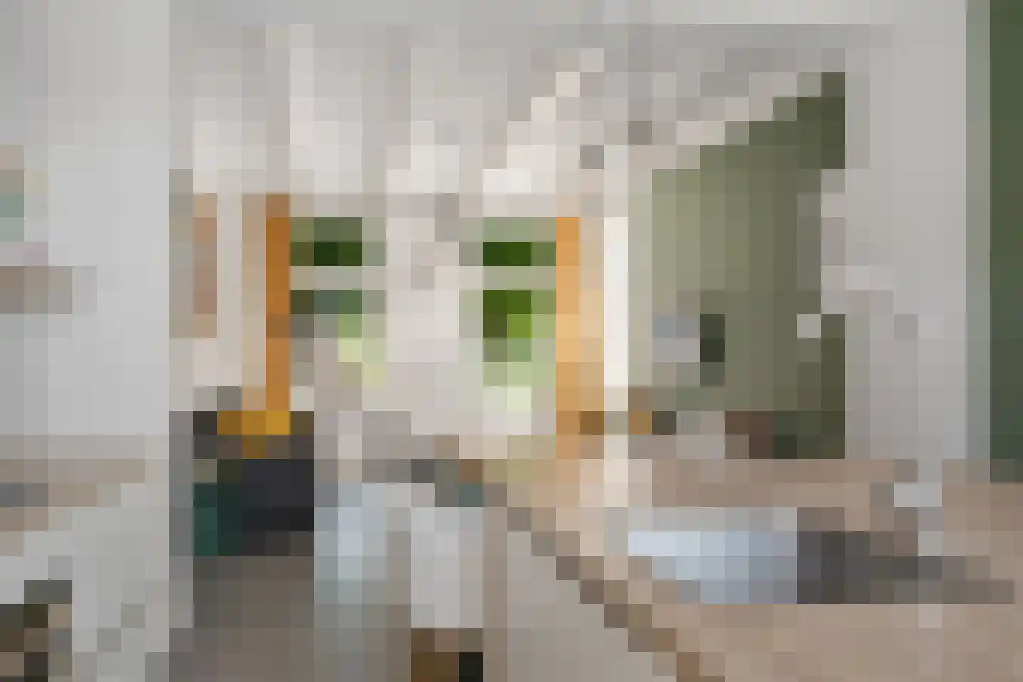 Rijksweg 78 Jirnsum foto 2