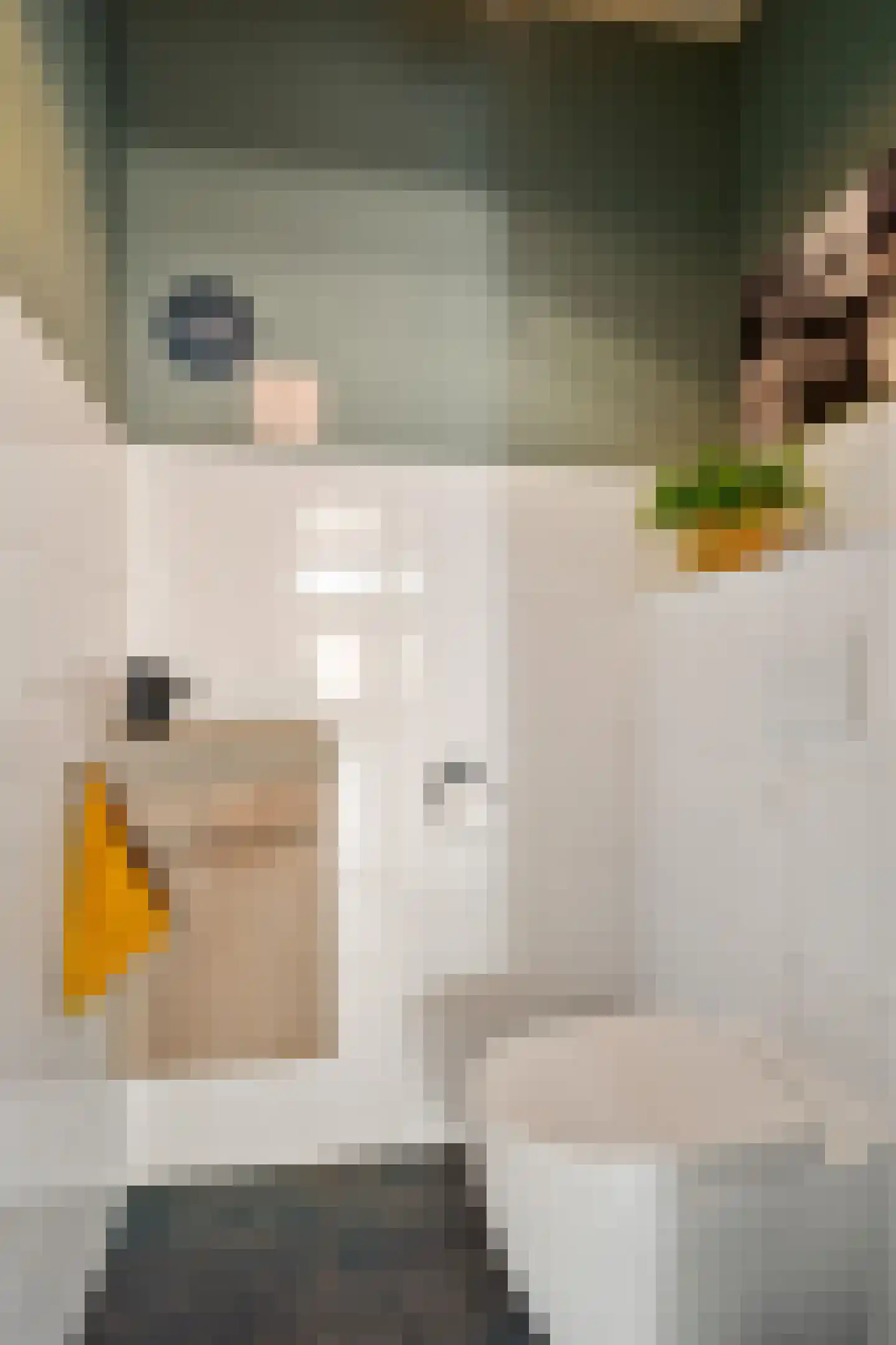 Rijksweg 78 Jirnsum thumbnail 21