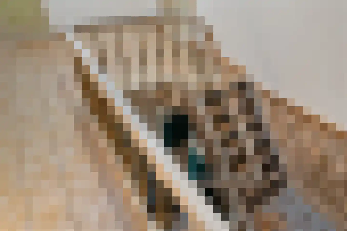 Rijksweg 78 Jirnsum thumbnail 27