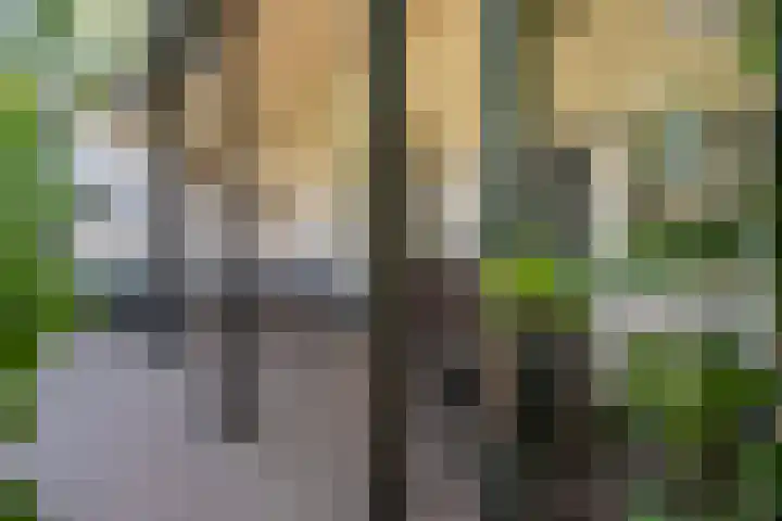 Rijksweg 79 Laag-Keppel thumbnail 13