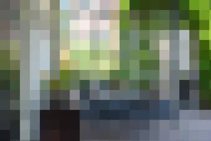Rijksweg 79 Laag-Keppel thumbnail 9