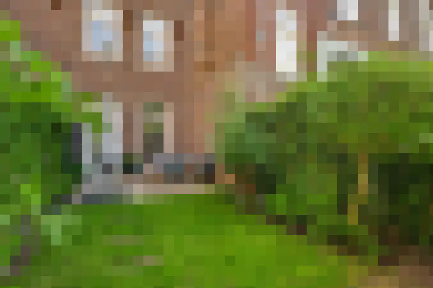 Rijksweg 8 E Cadier en Keer thumbnail 4