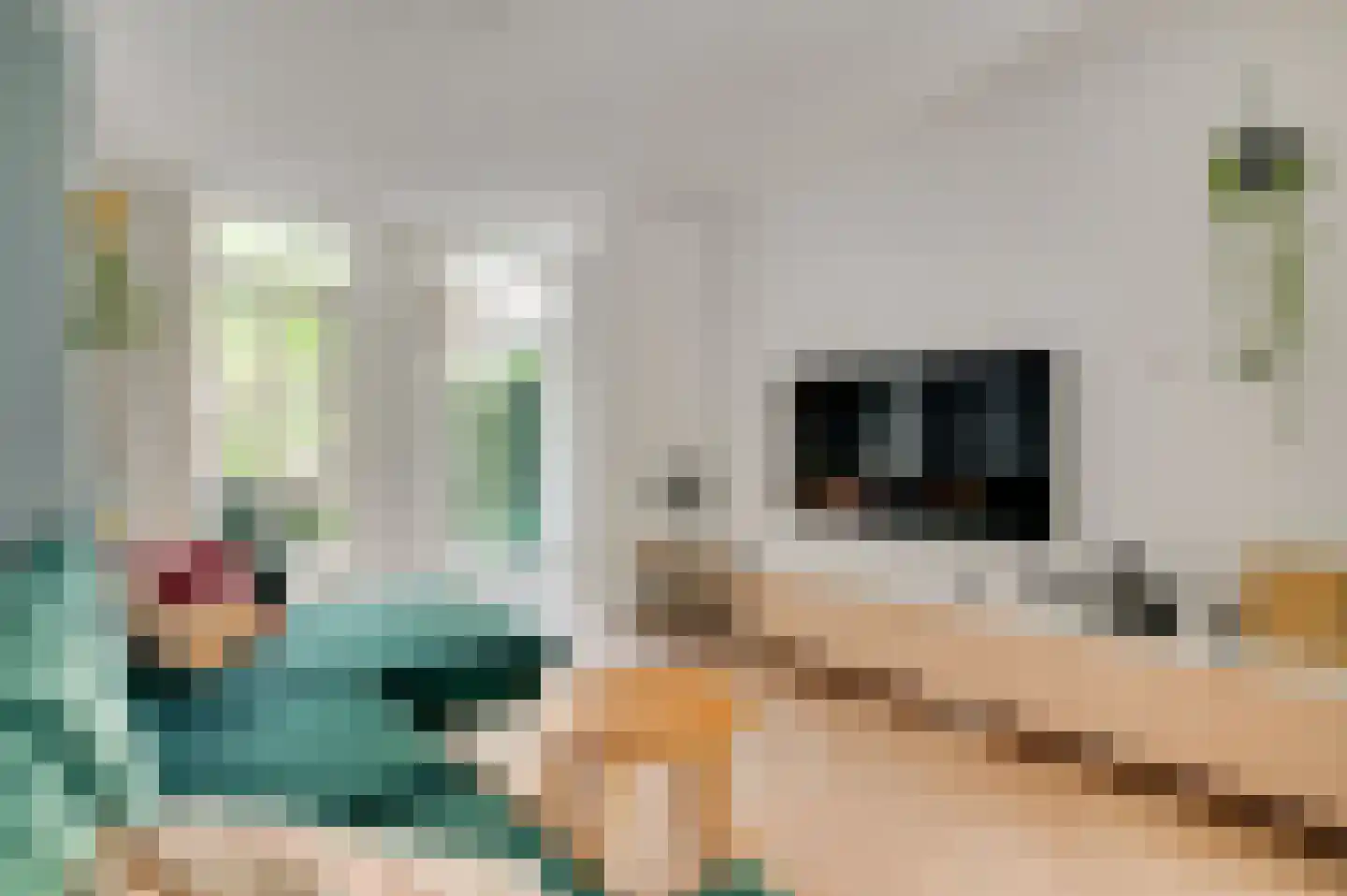Rijksweg 8 E Cadier en Keer thumbnail 8