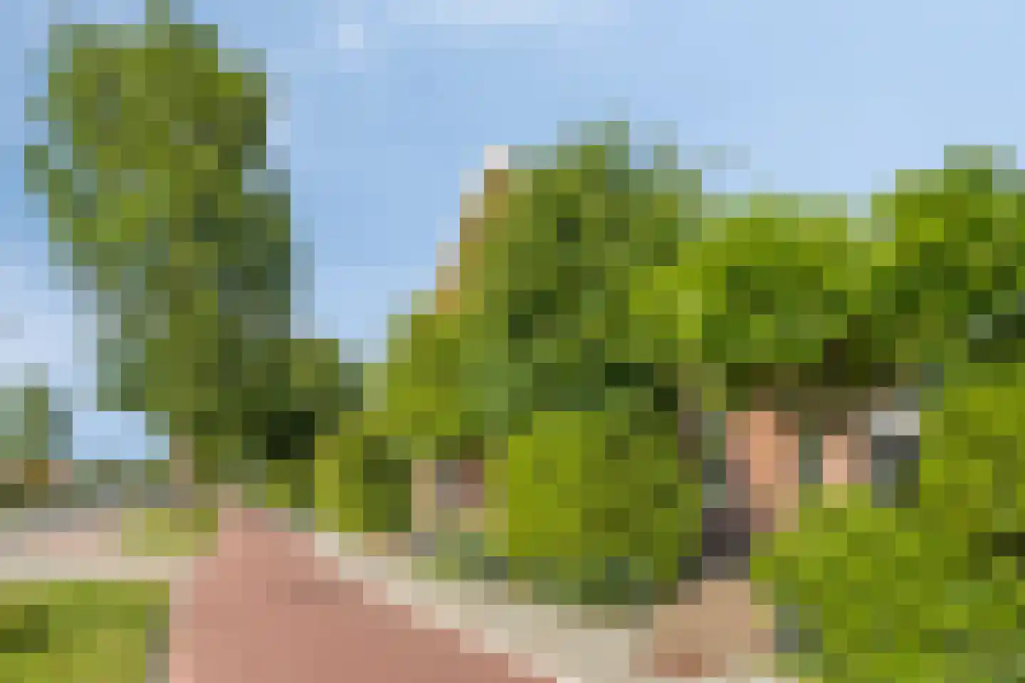 Rijksweg 80 Limmen thumbnail 10