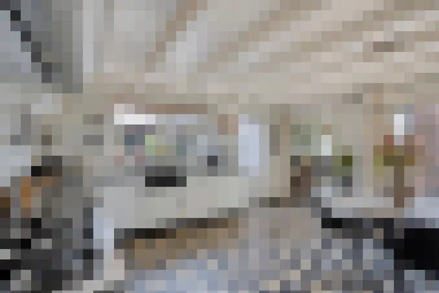Rijksweg 80 Limmen thumbnail 23
