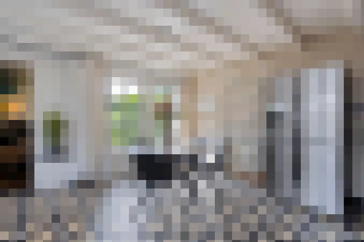 Rijksweg 80 Limmen thumbnail 26