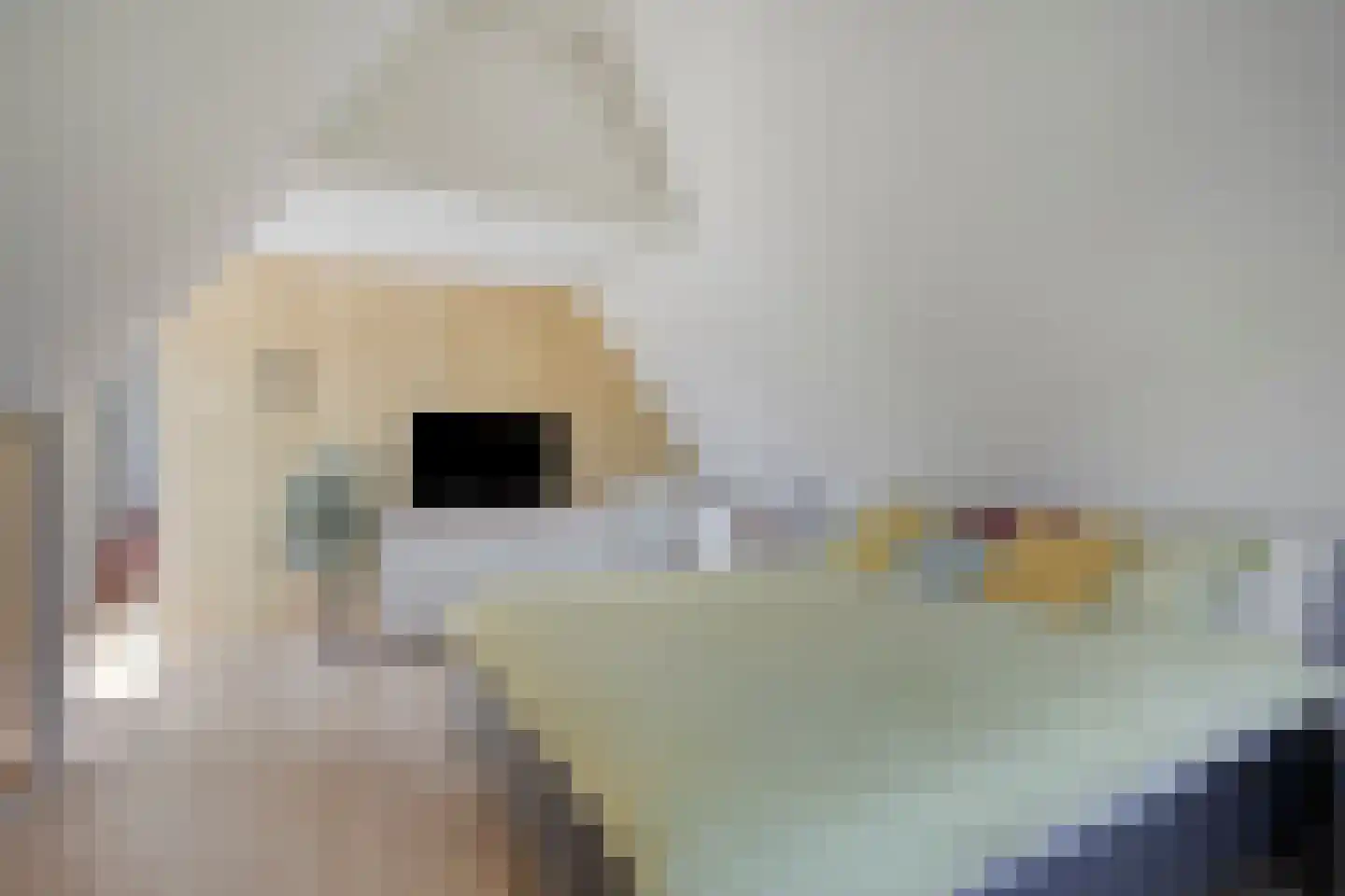 Rijksweg 80 Limmen thumbnail 35