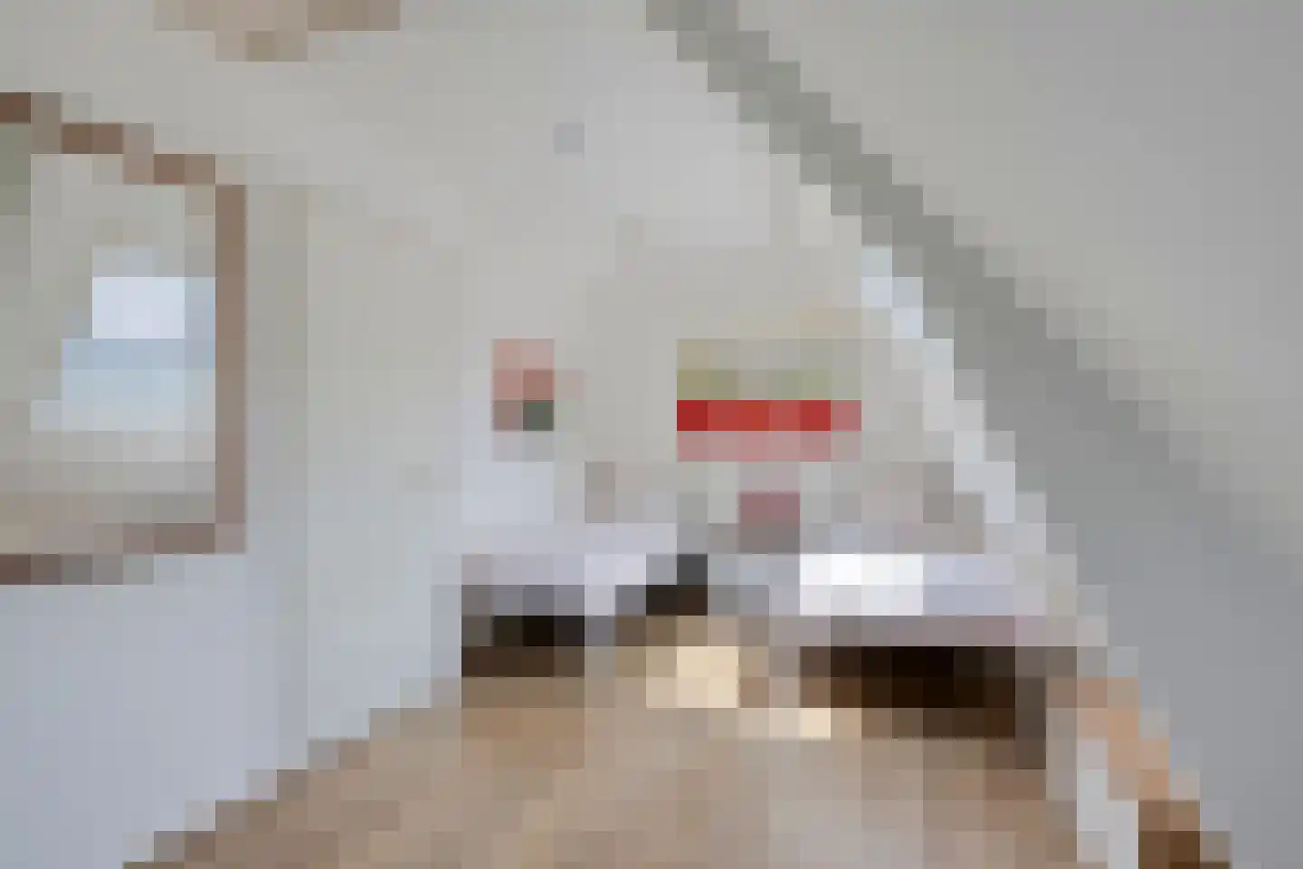 Rijksweg 80 Limmen thumbnail 44