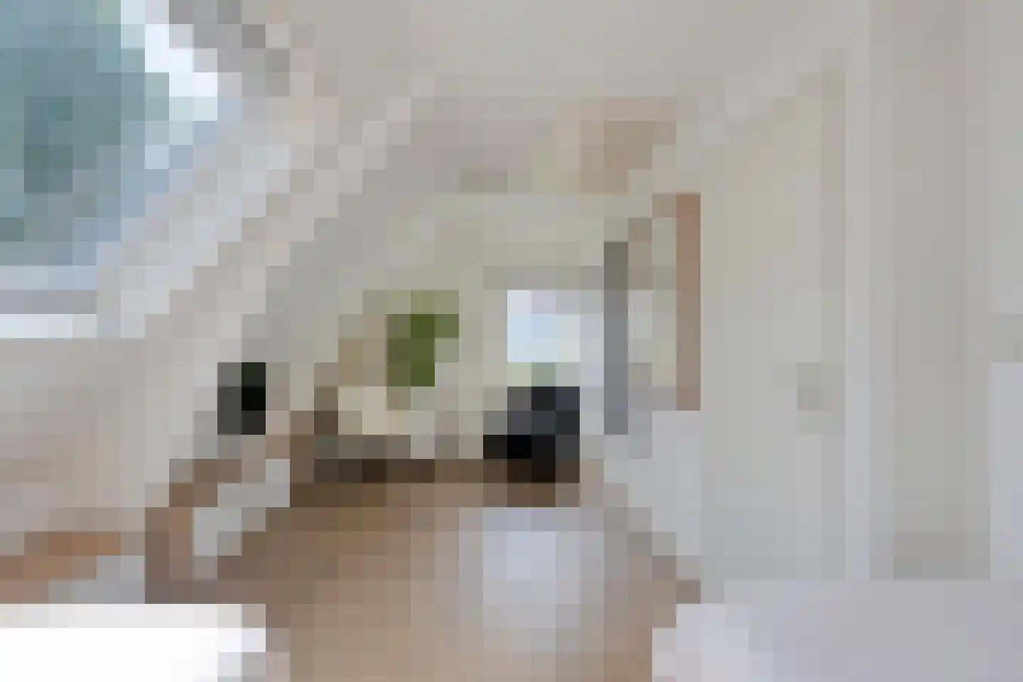 Rijksweg 80 Limmen thumbnail 45