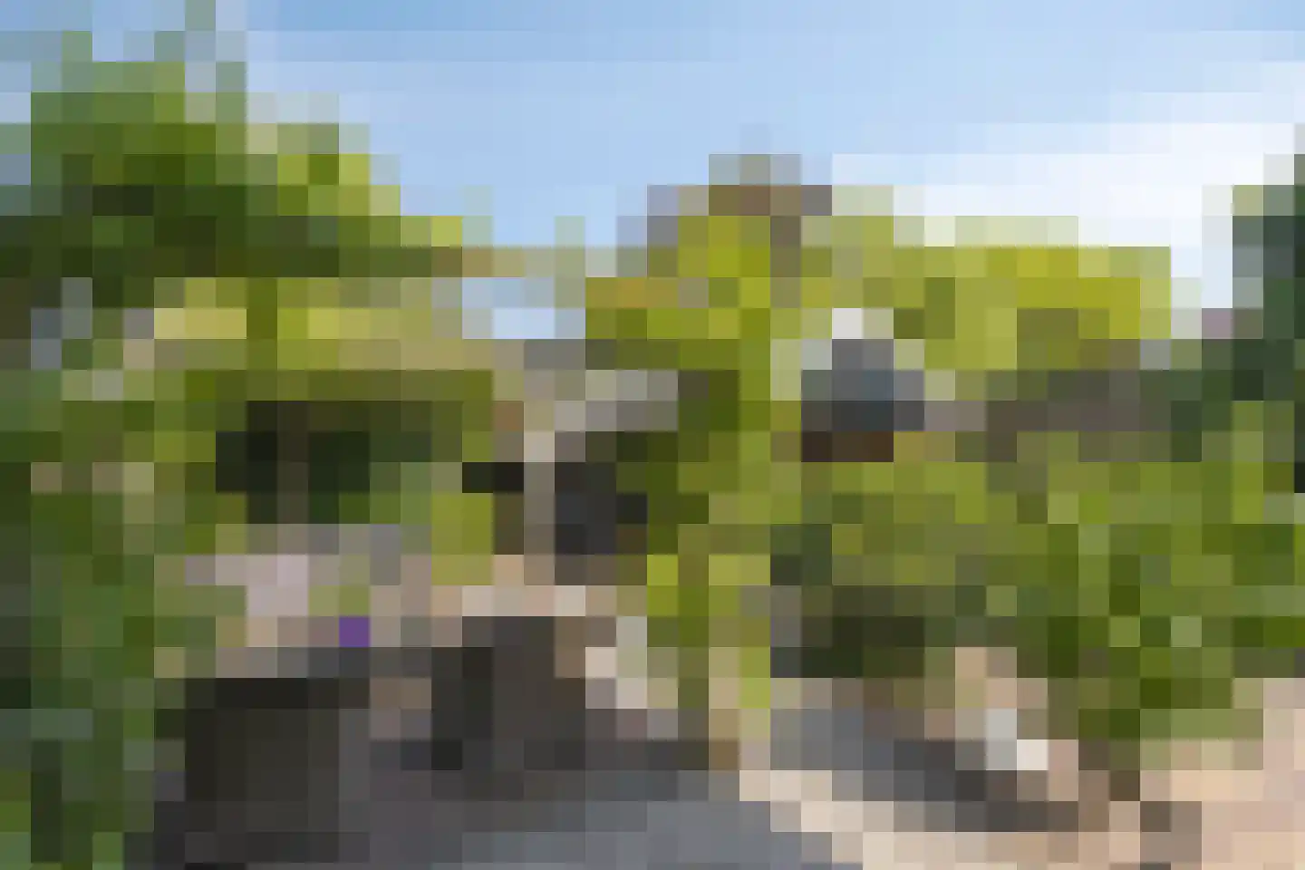 Rijksweg 80 Limmen thumbnail 50