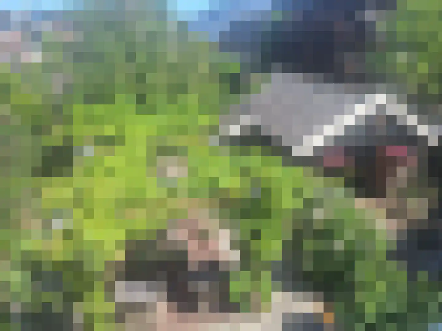 Rijksweg 80 Limmen thumbnail 51