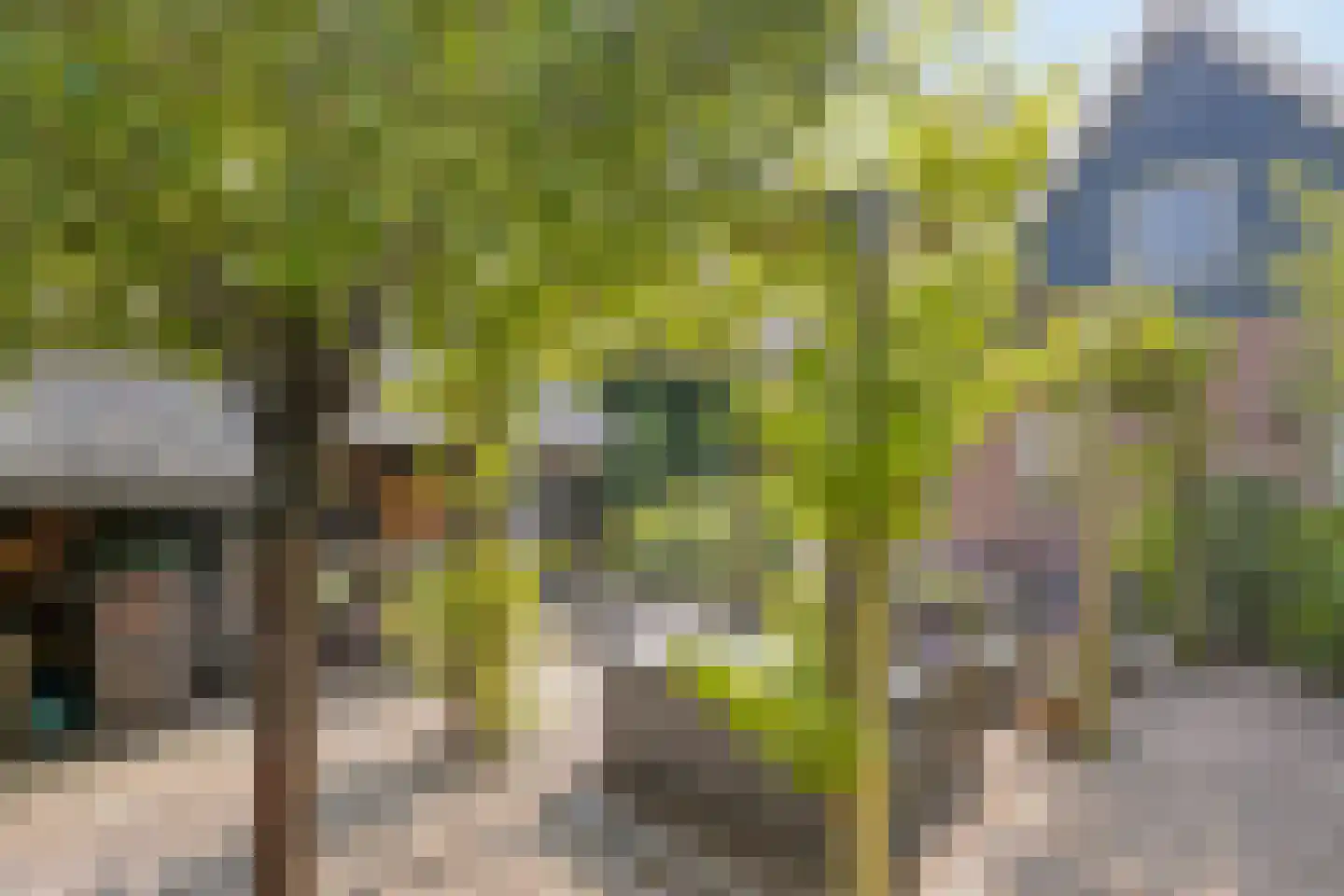 Rijksweg 80 Limmen thumbnail 53
