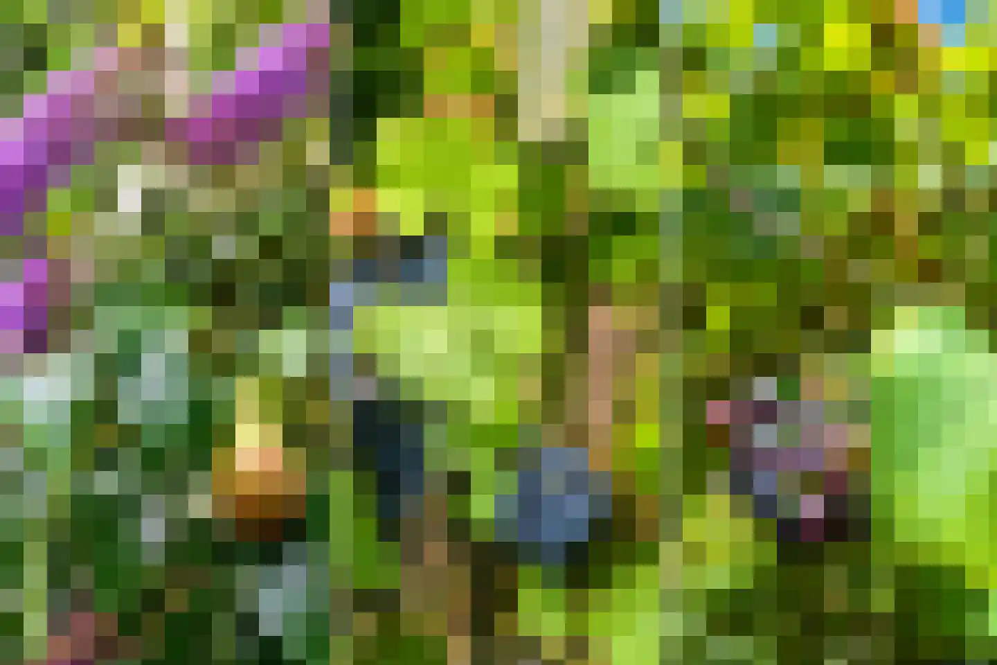Rijksweg 80 Limmen thumbnail 54
