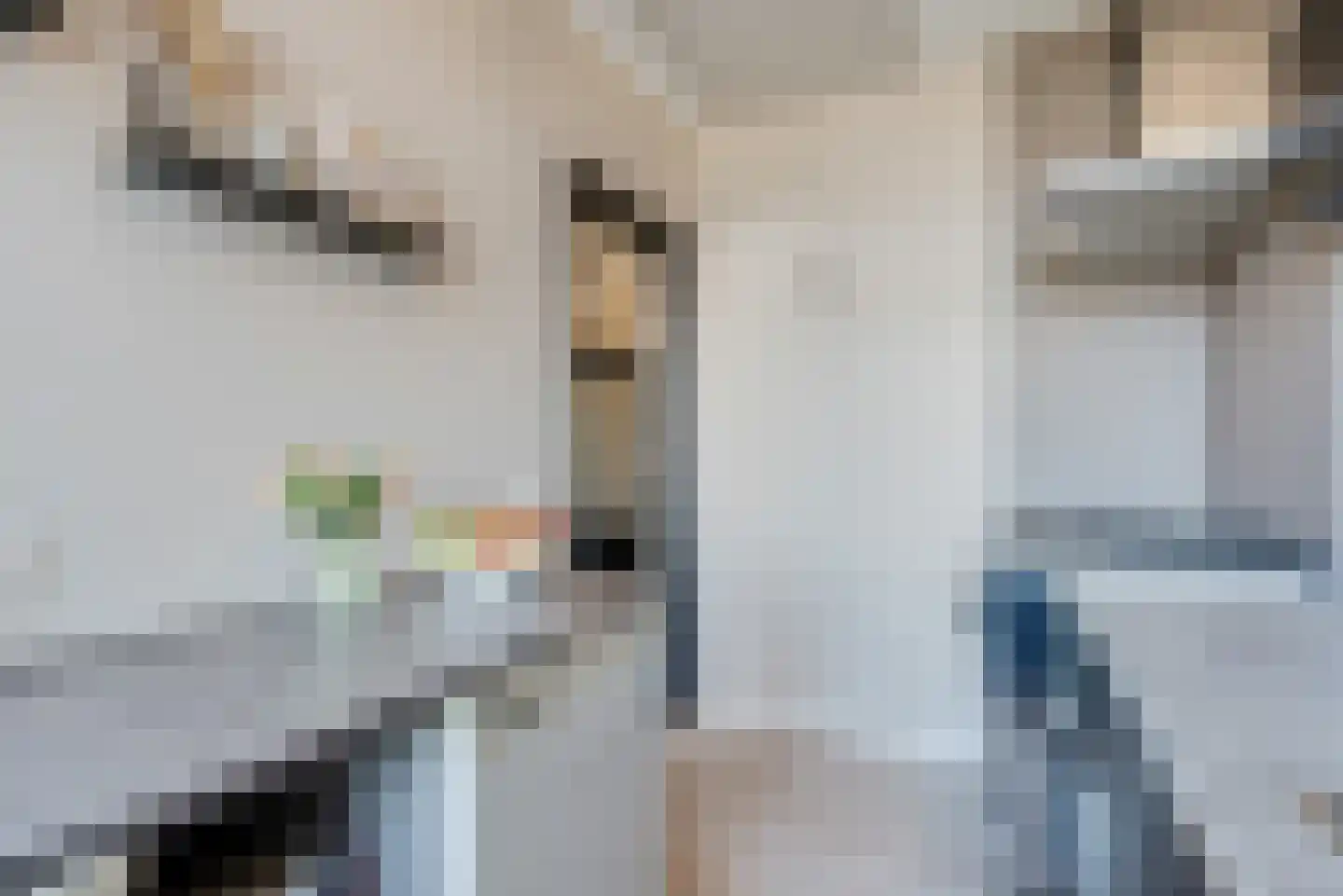 Rijksweg 83 B Delfzijl thumbnail 31
