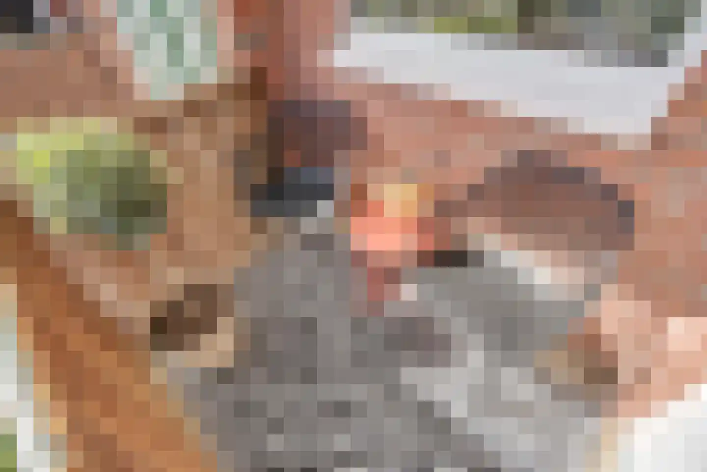 Rijksweg 83 B Delfzijl thumbnail 43
