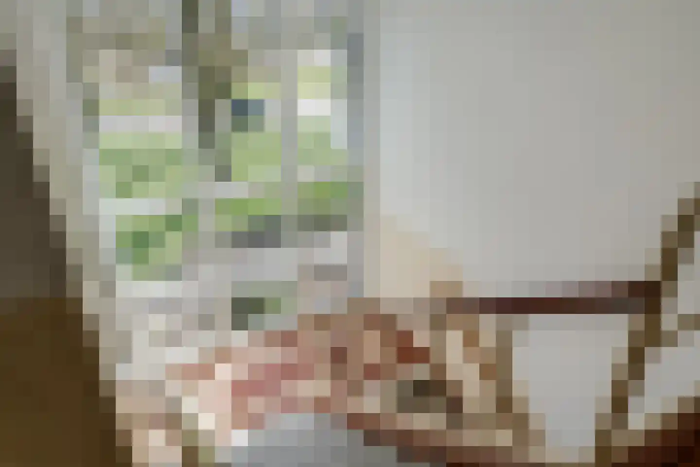 Rijksweg 83 B Delfzijl thumbnail 5