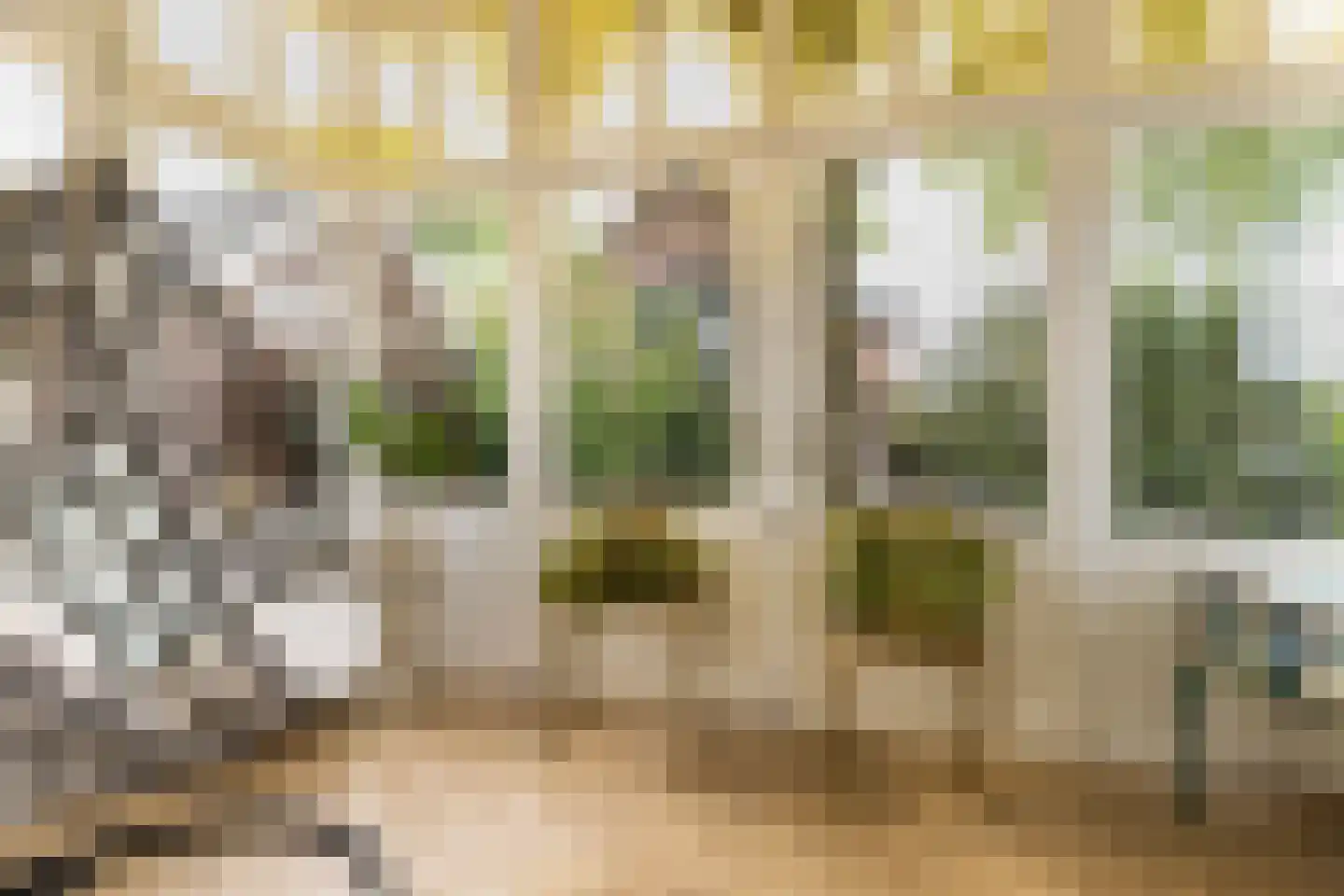 Rijksweg 83 Laag-Keppel thumbnail 31