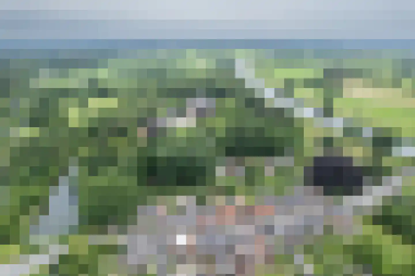 Rijksweg 83 Laag-Keppel thumbnail 6
