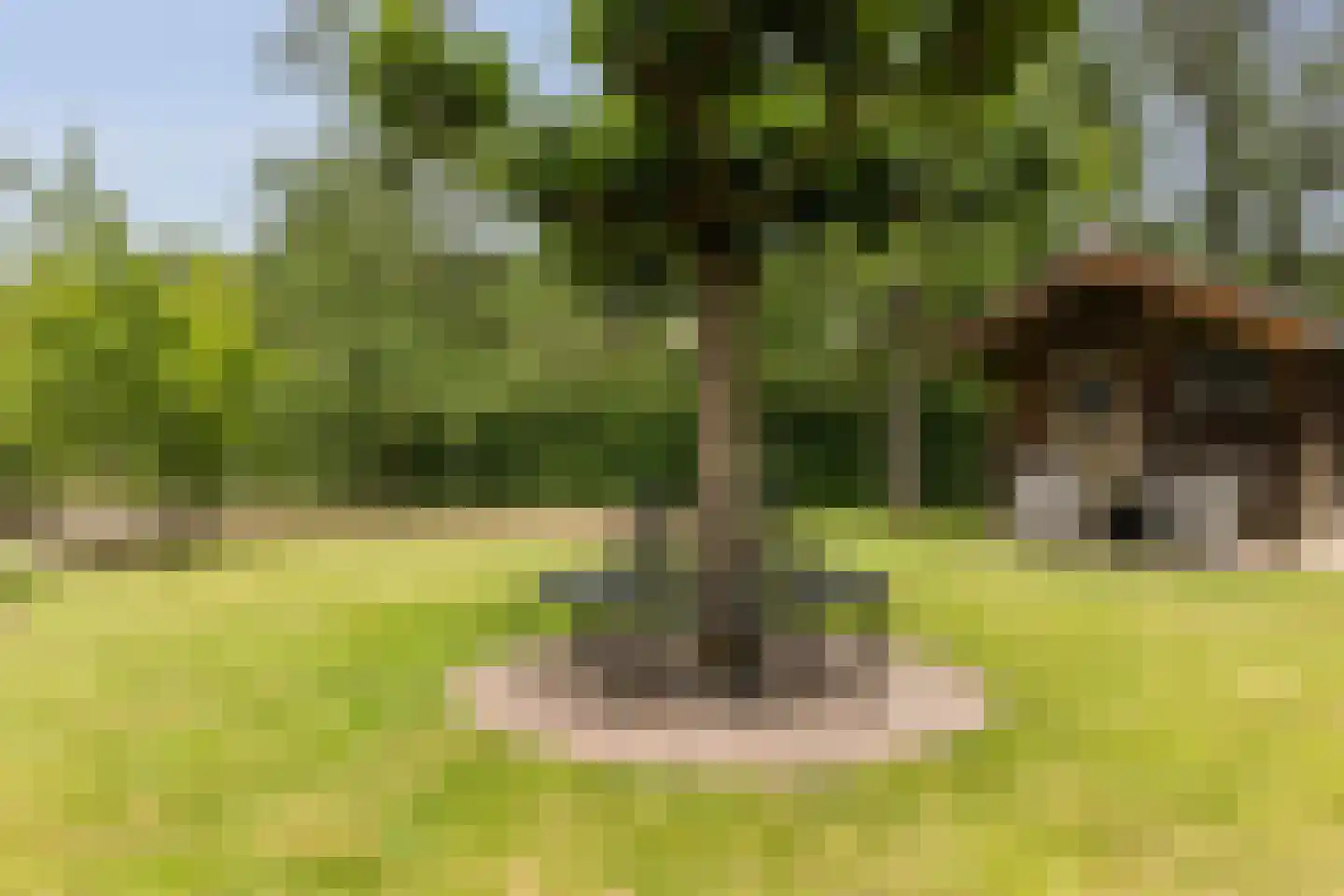 Rijksweg 83 Laag-Keppel thumbnail 98