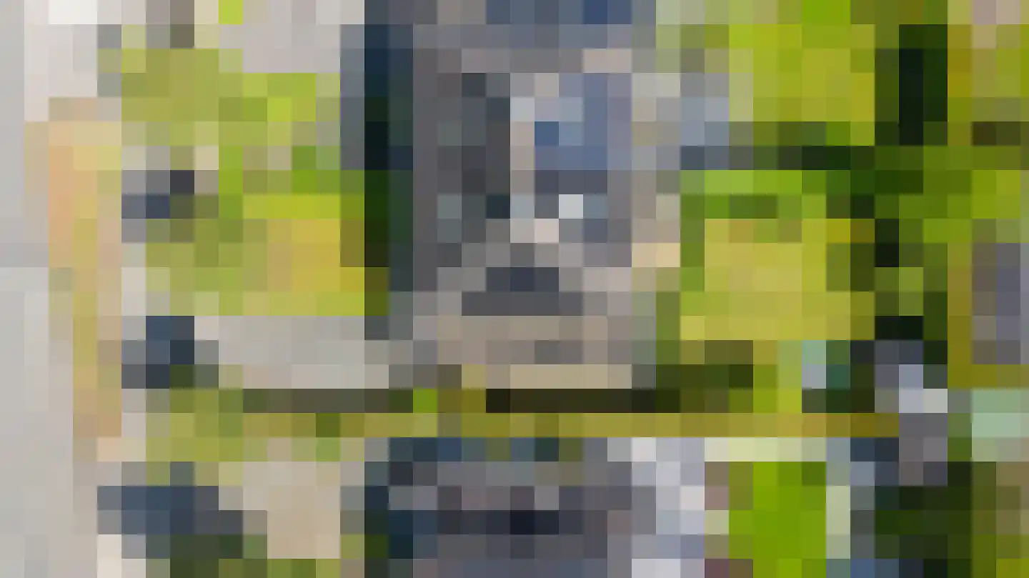 Rijksweg 84 Laag-Keppel thumbnail 4