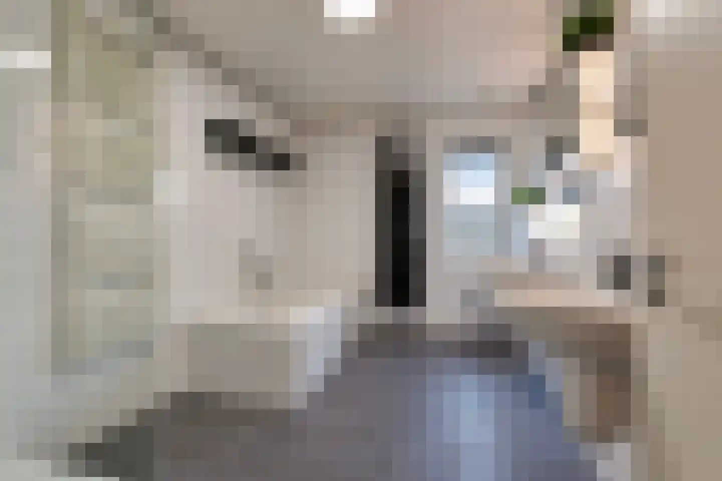 Rijksweg 84 Margraten thumbnail 25