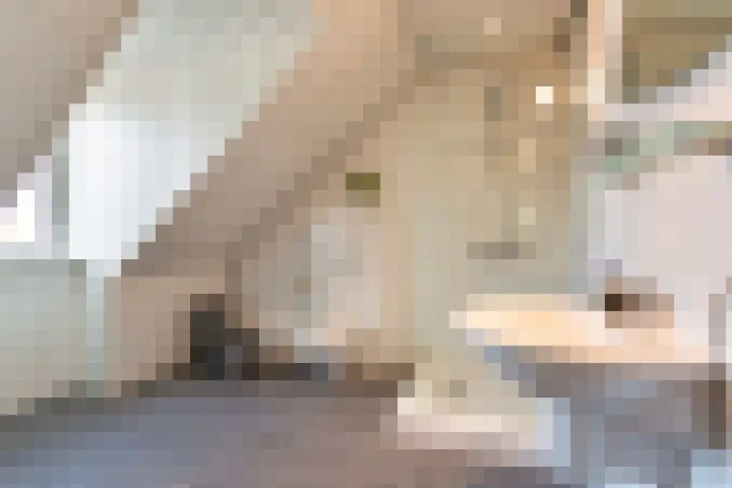 Rijksweg 84 Margraten thumbnail 31