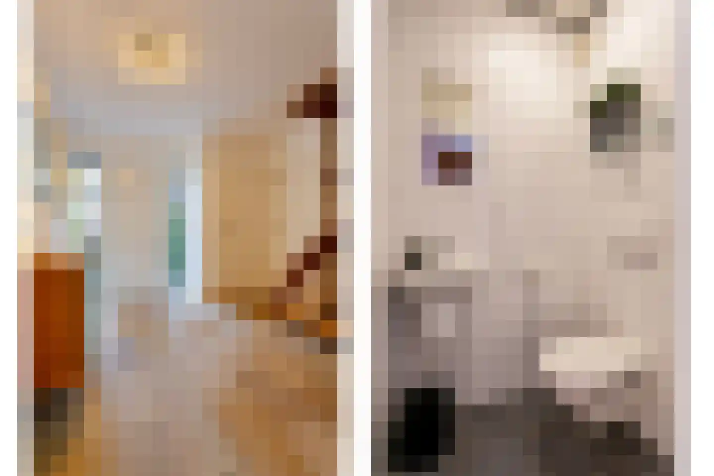 Rijksweg 84 Margraten thumbnail 6