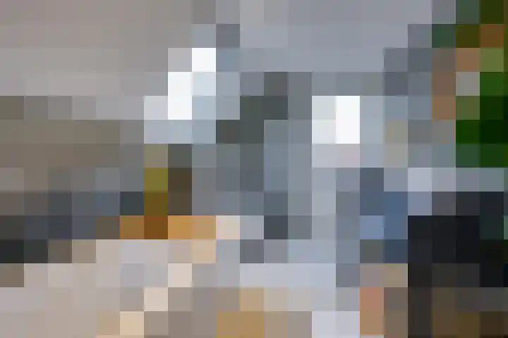 Rijksweg 84 Nieuwendijk thumbnail 25