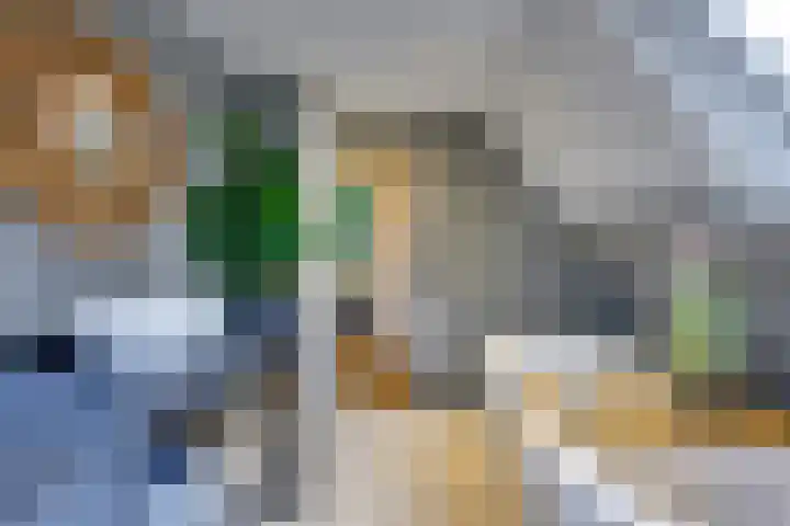 Rijksweg 84 Nieuwendijk thumbnail 26