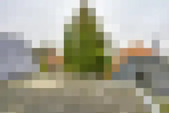 Rijksweg 84 Nieuwendijk thumbnail 27