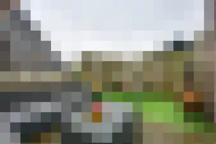 Rijksweg 84 Nieuwendijk thumbnail 33