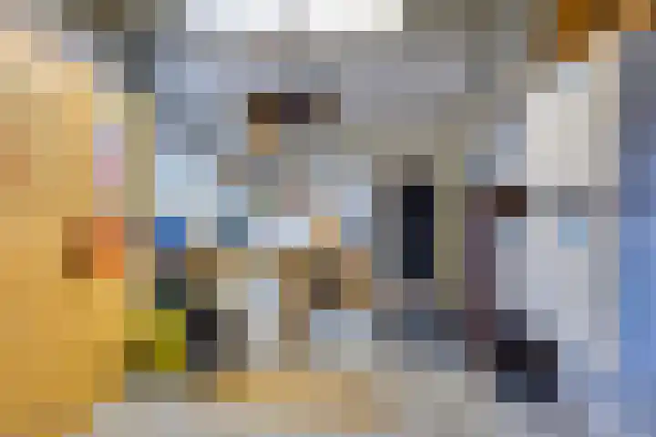 Rijksweg 84 Nieuwendijk thumbnail 35