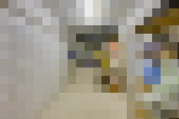 Rijksweg 84 Nieuwendijk thumbnail 37