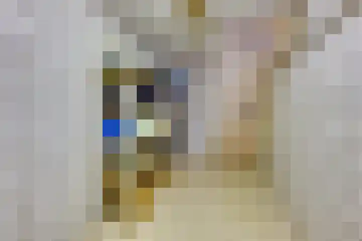 Rijksweg 84 Nieuwendijk thumbnail 38